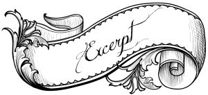 Excerpt