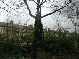 6789551251_8fef9533a6_z