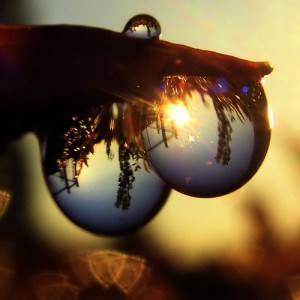 317568116_d05fd139e8_z-300x300