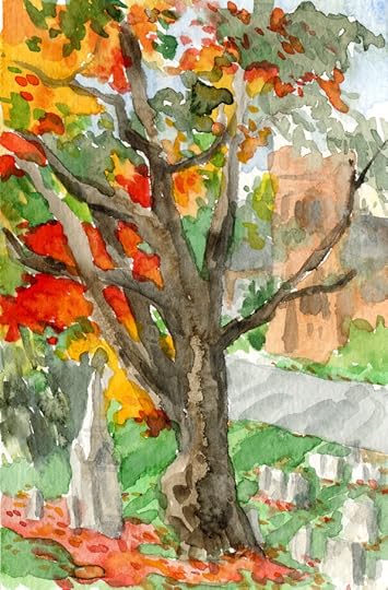 Mt Auburn Fall 2014 1