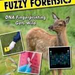 Fuzzy Forensics
