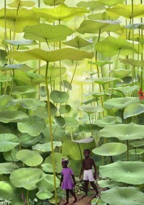 HealingIntoWholeness 001