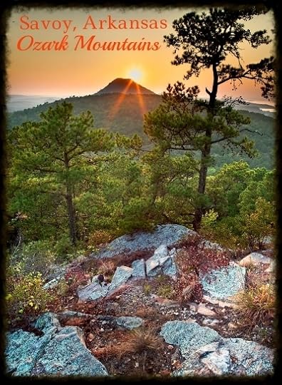  photo 302b1f6d-1246-4cd7-ac55-bdc5aa2c392a.jpg