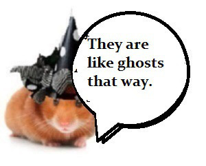 zbear1xx00001---------------