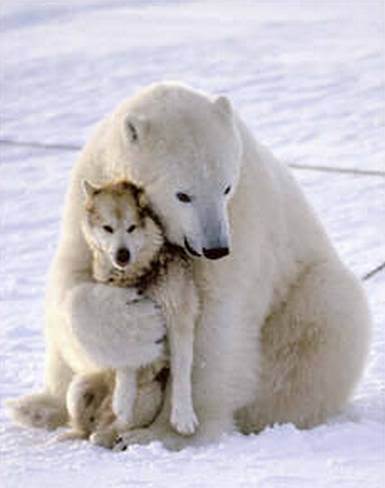 hug photo: Hug Hug.jpg