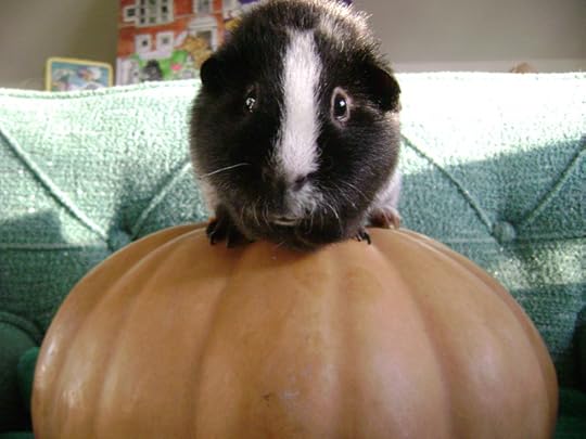 Look, Ozymadias already won. He gets to leave the town. At one point I believe the town was facetiously referred to as “Corncob,” I am not sure what its real imaginary-town name is.