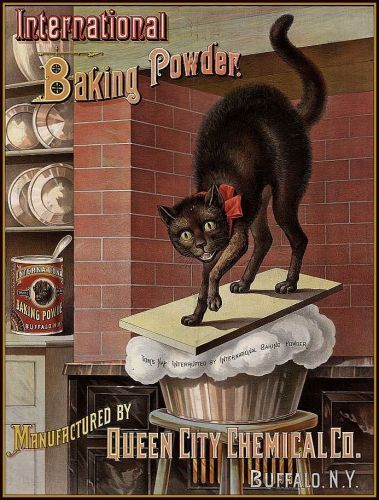 Baking_powder_advertisement_1885