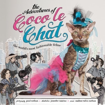 Coco Le Chat
