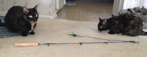 Neko_Flies_Birbug
