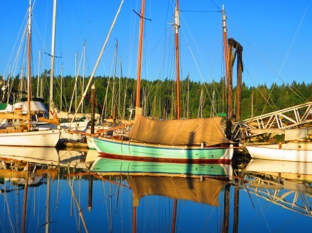 Where are we? The story's setting determines the types of action possible. Moving around a marina is very different than running through a wooded area. Photo by Darcy Pattison.