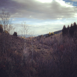 The view from Butt Kickins. 