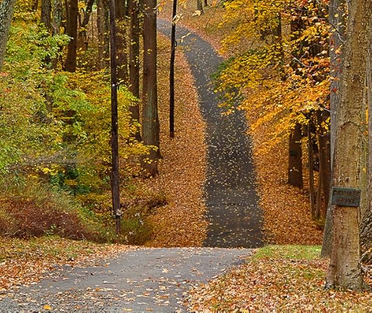 Fall Colors - country road from Flickr via Wylio