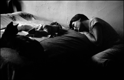 studythemasters_erwitt_04