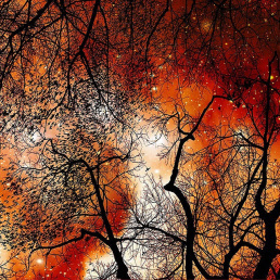 october-night-1