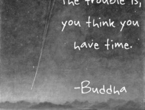 c892461747c863333c9817ad15d18496