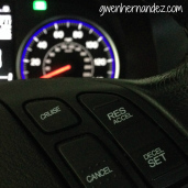 picture of cruise control