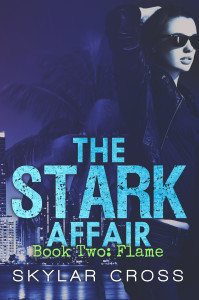 Stark2FlameBookCover6x9