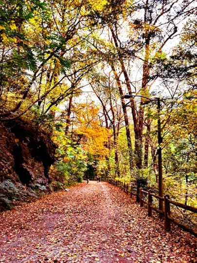 October Photo A Day-20