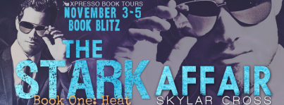 StarkAffairBlitzBanner