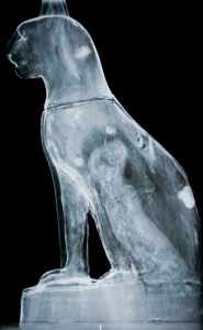 X-ray of kitten mummy inside votive cat figure
