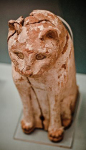 Wood sarcophagus