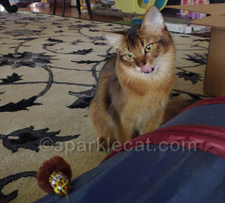 Although toys DO have a flavor!