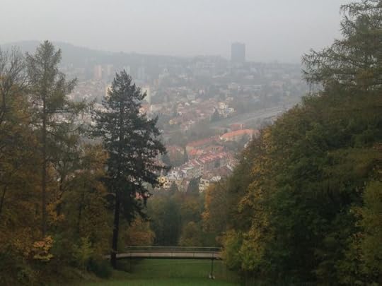 View of Brno from Wilson's Forest.