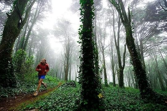  photo tumblr_mevoqgTBi21rmv3uno1_1280_zpsc2daa499.jpg