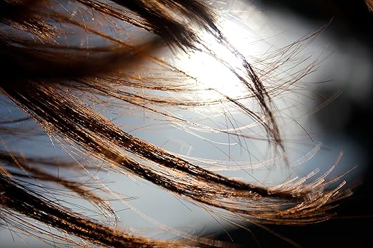 wind in my hair