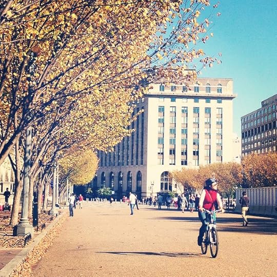 This has to be the premier fall weekend of the year #igdc #bikedc