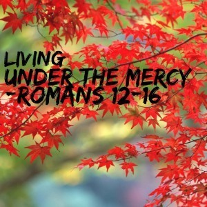 Under the Mercy
