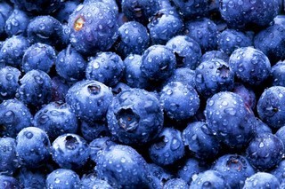 The antioxidant superstar, the blueberry