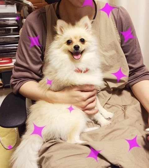 {5482455A-8F91-4E78-997C-3A46177B8D22:01}