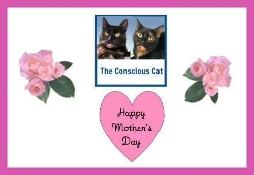 Mother's Day 2013