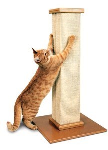 scatching_post