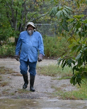 rainy-day-11-05-2014-0023