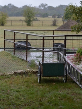 rainy-day-11-05-2014-0022