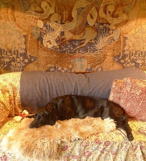 Sleeping Tilly