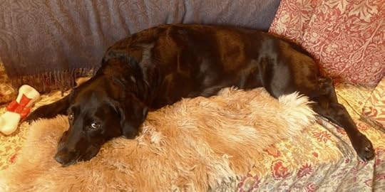 Waking Tilly