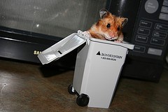 4649075746_05863b83ab_m