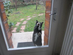 Charlie at door