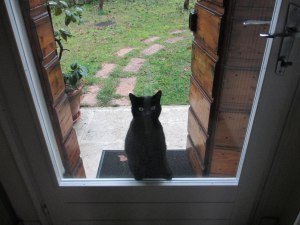 Sophie at door