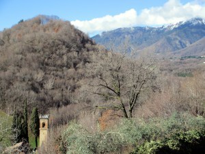 View in Winter