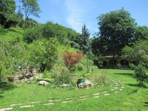 View from garden door