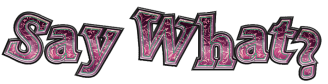 Say_What