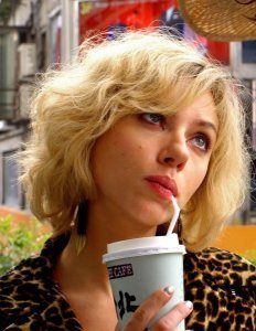 il faut trouver la Voie