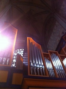 organ