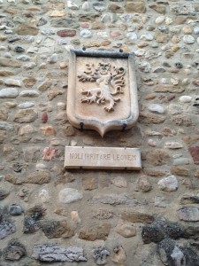 noli irritare leonem