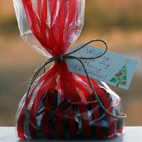 Hanging Gift Tags