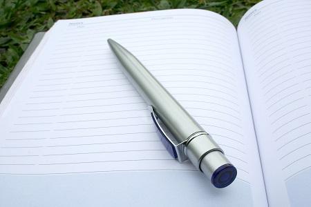 Writing in a journal